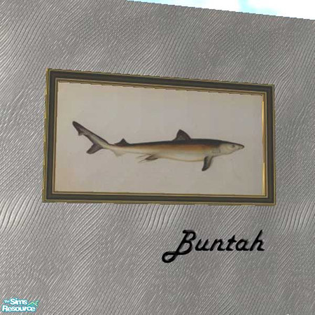Sims 2 — Beach Office Shark Painting by buntah — This is the Shark Painting for my Beach Office. It's a recolor of the