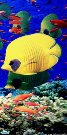 Sims 2 — Under the Sea Wall Mural - Panel 4 by TrailRunner782 — Panel 4. This beautiful mural has been transformed from a