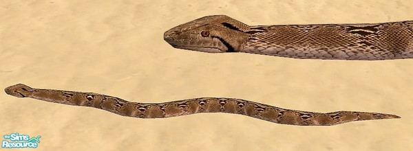 Sims 2 — Paradise Beach - Snake by Bitzybus — A big Python. Better watch your steps... Polygons: 824 Vertices: 619