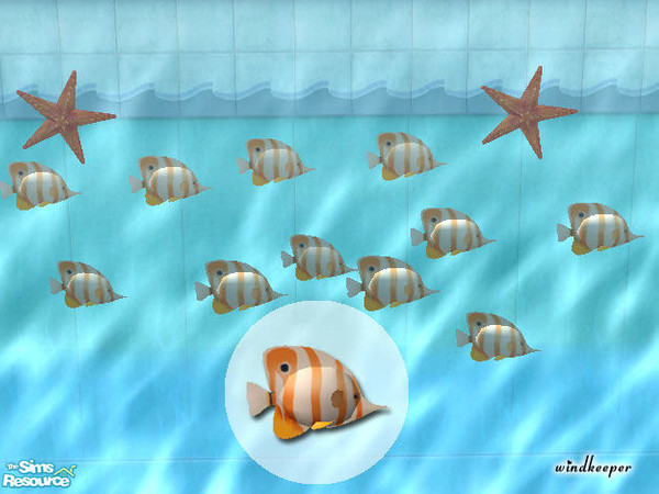 Sims 2 — Copperband Butterflyfish by Windkeeper — You need to download "Tropical Fish mesh 1" file from this