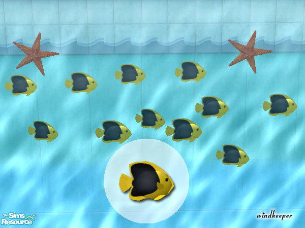 Sims 2 — Rock Beauty Angelfish by Windkeeper — You need to download "Tropical Fish mesh 1" file from this set