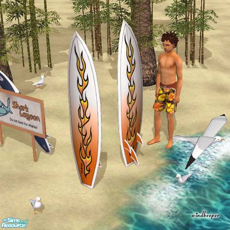 Sims 2 — Hot Rod Surfboard by Windkeeper — This recolor will work for any surfboard from the "Shark Lagoon"