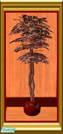 Sims 2 — Ficus by oldmember_SavannahSims — Enjoy that extra bit of luxury for the senses with this Natural Mahogany Wood
