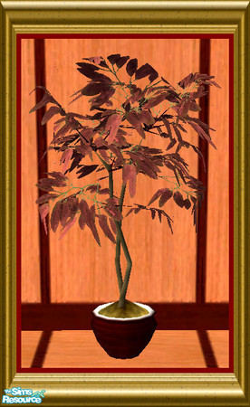 Sims 2 — Fig Tree by oldmember_SavannahSims — Enjoy that extra bit of luxury for the senses with this Natural Mahogany
