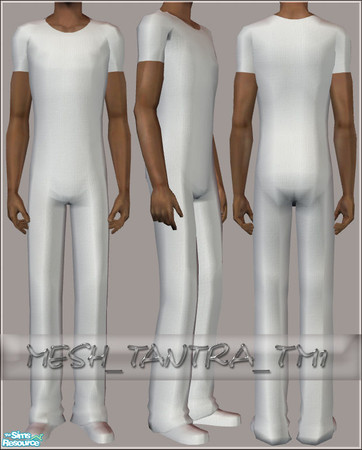 Sims 2 — MESH_Tantra_TM1 by Tantra — Mesh with bumpmap and fat morph for teen males. Basegame compatible. Template