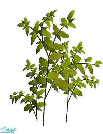 Sims 2 — Paradise - plant rec by steffor — 