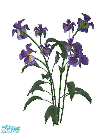 Sims 2 — Paradise - plant by steffor — 