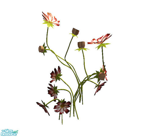 Sims 2 — Paradise - plant by steffor — 