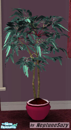 Sims 2 — NSC Fig Tree Plant 4 - Maroon Pot by Neptunesuzy — Your sims will love this Fig plant with it newly colored