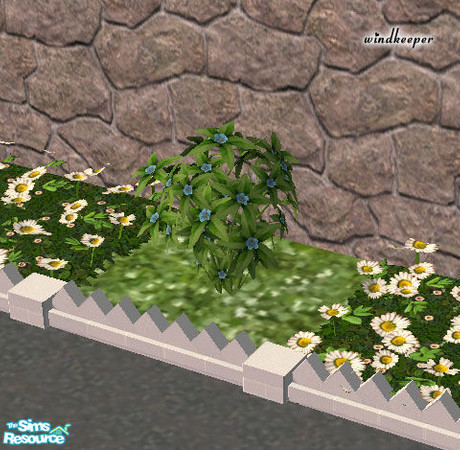 Sims 2 — Hydroponic shrub - blue flowers by Windkeeper — *Updated July 5/05* Hydroponic shrub - blue flowers. You need to