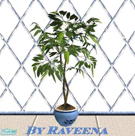 Sims 2 — Blue Garden Room Fig Tree by Raveena — Part of the Blue Garden Room set.