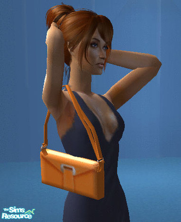 Sims 2 — Purses - 8 by janicap — Handbag for adult women.Based on mesh by LianaSims2.
