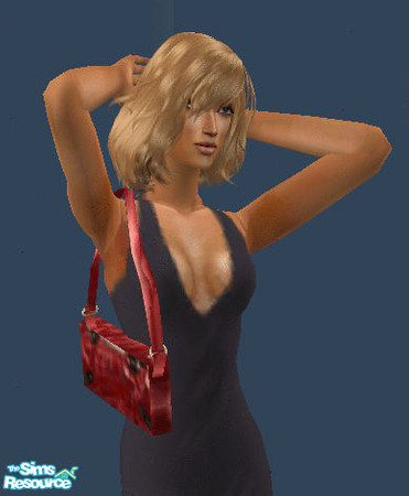 Sims 2 — Purses - 6 by janicap — Handbag for adult women.Based on mesh by LianaSims2.