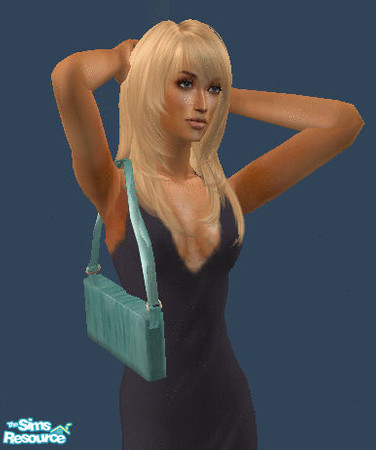 Sims 2 — Purses - 5 by janicap — Handbag for adult women.Based on mesh by LianaSims2.