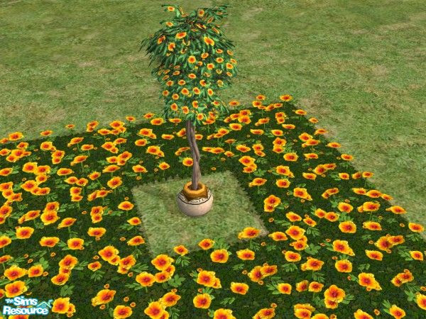 Sims 2 — Bring the Outdoors In Blooming Trees Yel by c_literati — Eleven trees recolored to match the outdoor garden