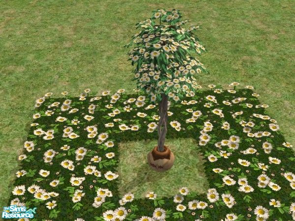 Sims 2 — Bring the Outdoors In Blooming Trees Whi by c_literati — Eleven trees recolored to match the outdoor garden