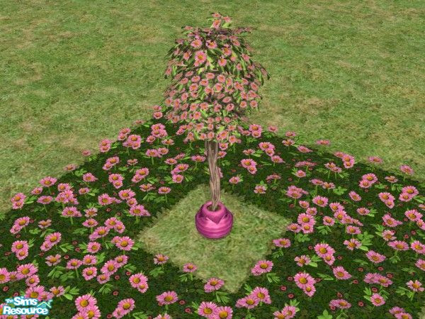 Sims 2 — Bring the Outdoors In Blooming Trees Pin by c_literati — Eleven trees recolored to match the outdoor garden