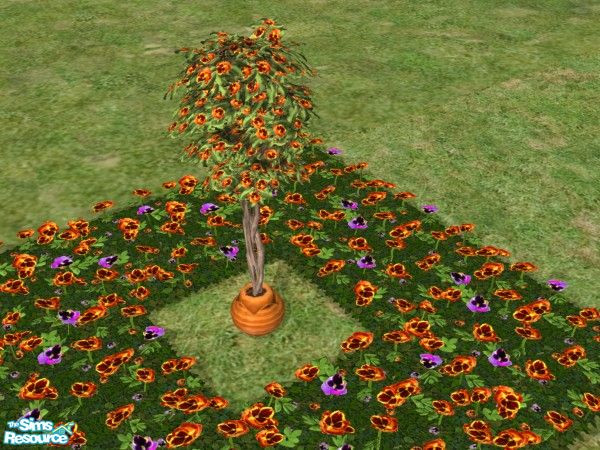 Sims 2 — Bring the Outdoors In Blooming Trees Ora by c_literati — Eleven trees recolored to match the outdoor garden