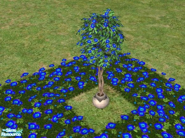 Sims 2 — Bring the Outdoors In Blooming Trees Blu by c_literati — Eleven trees recolored to match the outdoor garden
