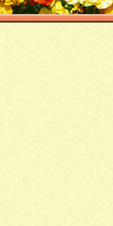 Sims 2 — Mural Borders 06 by KittenKiss — A set of 6 photo bordered walls (that tile) with photos taken by me. I wanted