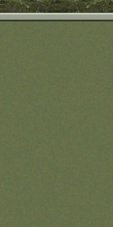 Sims 2 — Mural Borders 02 by KittenKiss — A set of 6 photo bordered walls (that tile) with photos taken by me. I wanted