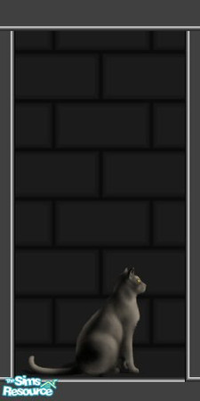 Sims 2 — Drark Wall Set by Babybunny — None