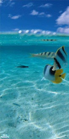 Sims 2 — Tropical Fish Wall Mural - Panel 1 by TrailRunner782 — If you love the ocean and you love fish, then this mural