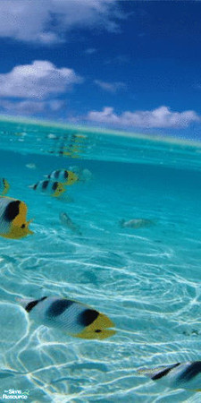 Sims 2 — Tropical Fish Wall Mural - Panel 3 by TrailRunner782 — If you love the ocean and you love fish, then this mural