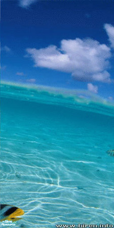 Sims 2 — Tropical Fish Wall Mural - Panel 4 by TrailRunner782 — If you love the ocean and you love fish, then this mural