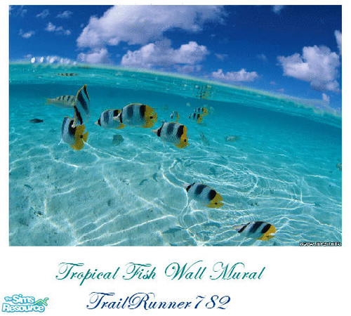 Sims 2 — Tropical Fish Wall Mural by TrailRunner782 — If you love the ocean and you love fish, then this mural is just