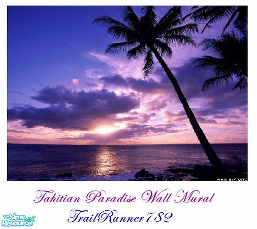 Sims 2 — Tahitian Sunset Wall Mural by TrailRunner782 — Get a beautiful Tahitian sunset right in your own home. This set