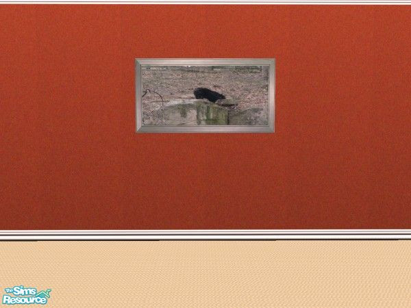 Sims 2 — Dark Design's Original Artwork Wall Hang by Dark_Design — These are wall hanging of photoshop creations and