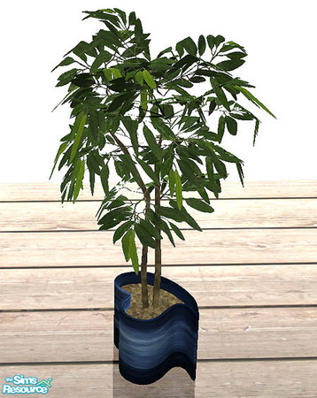 Sims 2 — Maria - plant by steffor — 