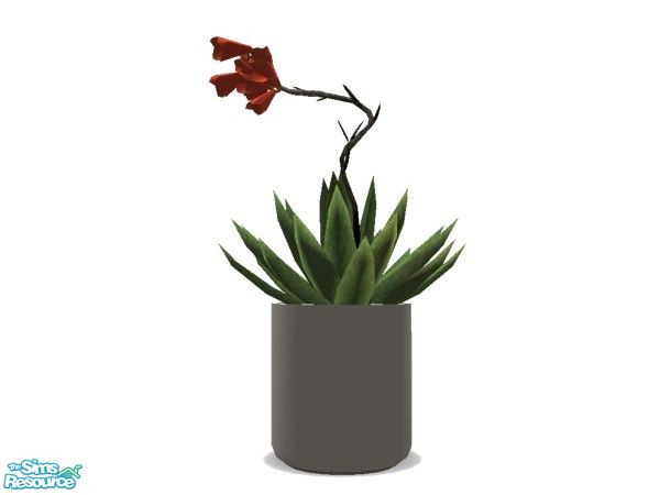 Sims 2 — Marlou Plant 1 by n-a-n-u — 