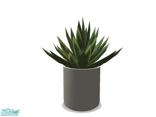 Sims 2 — Marlou Plant 2 by n-a-n-u — 