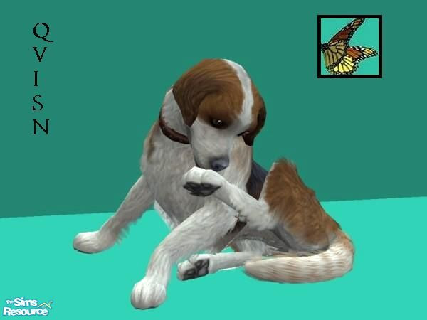 Sims 2 — English Hunter 2 by qvisn — New colour coat and just as adorable as the first one. by qvisn