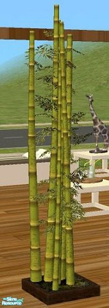 Sims 2 — Set Beachclub - Bamboo by marilu — 