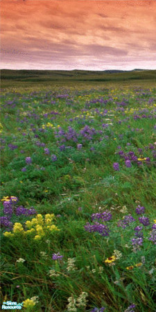 Sims 2 — Wildflowers Wall Mural - Panel 1 by TrailRunner782 — Wildflowers in a field will adorn your walls. A four panel