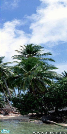 Sims 2 — Beachfront Wall Mural - Panel 4 by TrailRunner782 — A beautiful beachfront scene with crystal clear blue water.