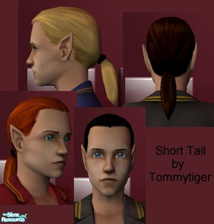 Sims 2 — Short Tail Set by tommytiger — A shorter ponytail for your male sims! Comes in all four Maxis default colors.