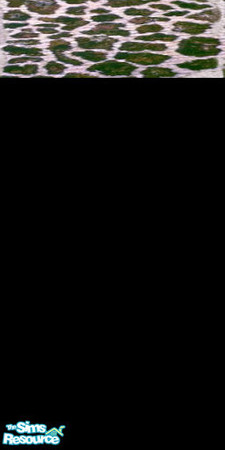 Sims 2 — BP Wall by PhantasyGurl — It's part of my Baby Phat "Wild Leopard" Collection!