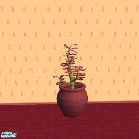 Sims 2 — Blessed Burgundy Plant by paulajedi — Blessed Burgundy Plant
