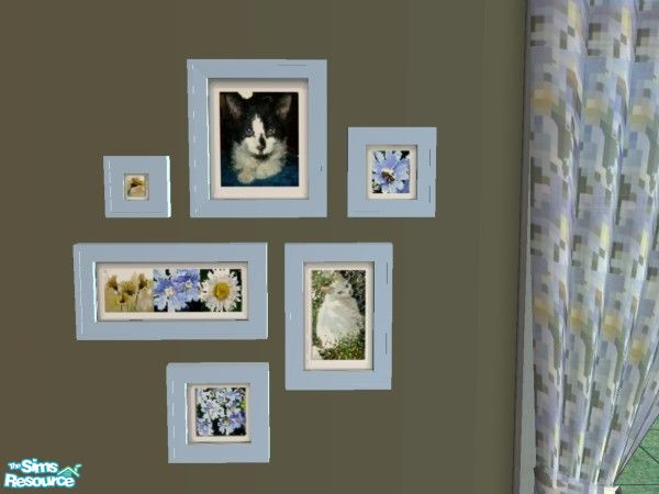 Sims 2 — Blue Daisy and Kitty Collage by candrew22004 — I created a set starting with the Blue Daisy Alienware