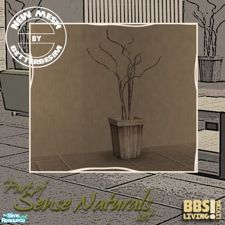 Sims 2 — Sense Naturals Living, Noneplant decorat by BetterbeSim — Serenity in basics; natural colors and honest