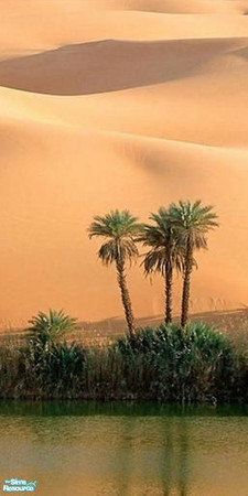 Sims 2 — Mural Tunis 2 by Lady_Venera — Mural