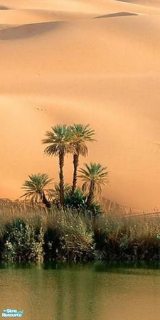 Sims 2 — Mural Tunis 3 by Lady_Venera — Mural