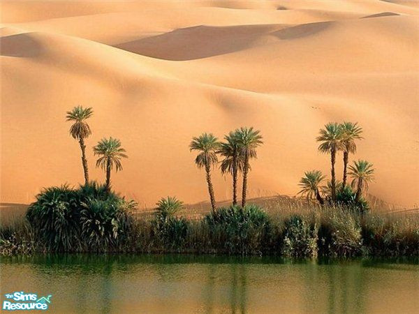 Sims 2 — Mural Tunis  by Lady_Venera — Mural 