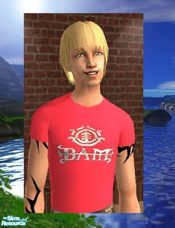Sims 2 — YA Red Element T-Shirt by sgoobysnacks — YA Red Element T-Shirt ....Looks great in game....Enjoy!