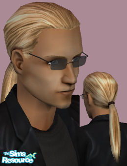 The Sims Resource - NSC Hair For Men - Long Pony Tail