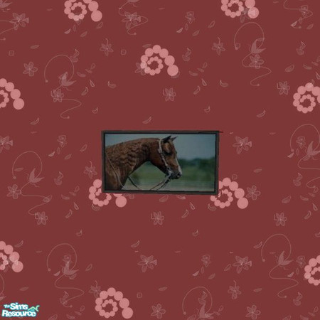Sims 2 — Quarter Horse Picture Set by tagandkiss8100 — 5 Wonderful Quarter Horse Pictures.